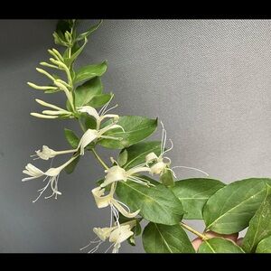 Meet your Posher, Mary beth